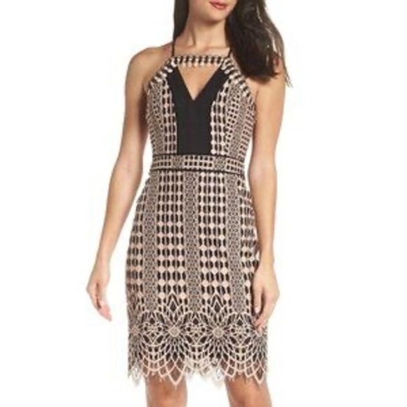 Harlyn Blush & Black Lace Overlay Sheath Cocktail Dress Scallop Hem Size Medium - Picture 15 of 15